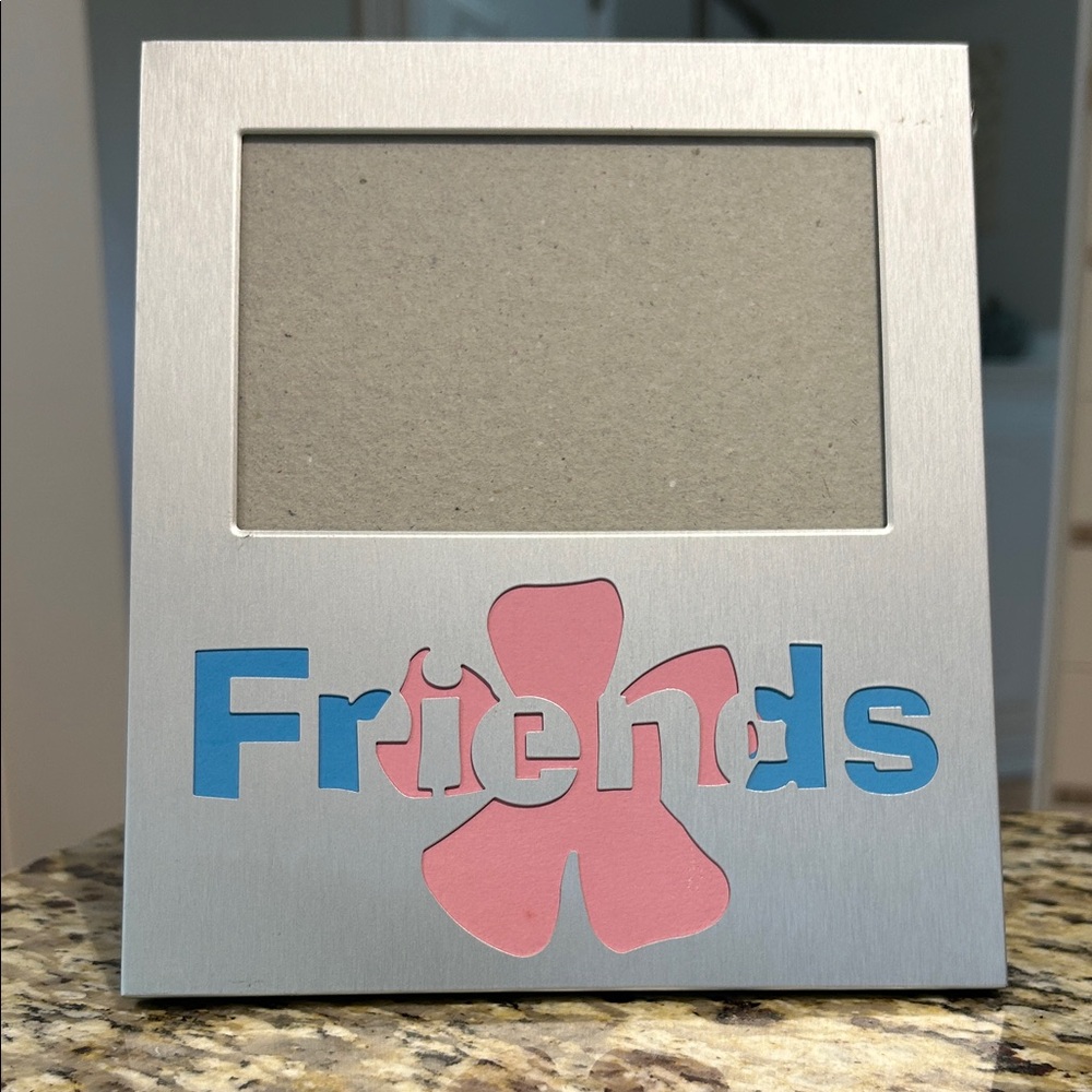 Blue and Pink 'Friends' Photo Frame